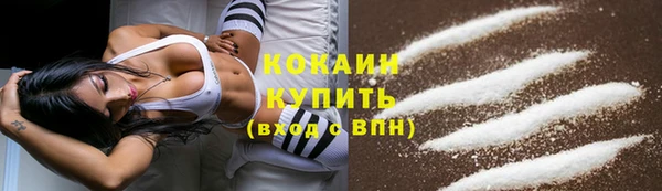 стафф Алзамай