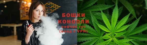 ПСИЛОЦИБИНОВЫЕ ГРИБЫ Новозыбков