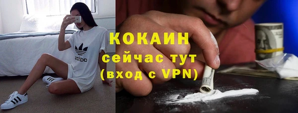 стафф Алзамай