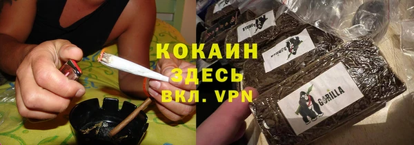 тгк Нея
