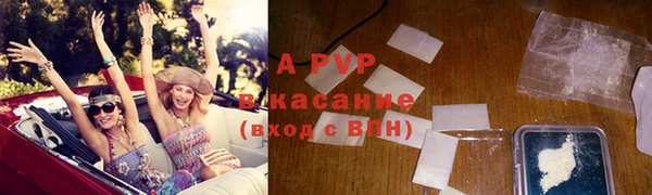 стафф Алзамай