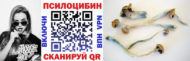 Псилоцибиновые грибы мицелий  kraken зеркало  Орлов 